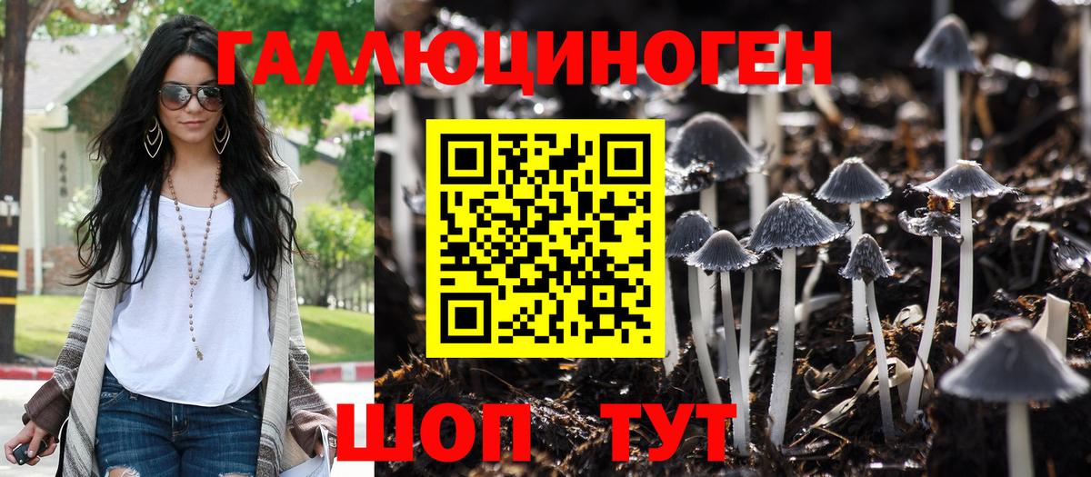 Псилоцибиновые грибы Psilocybe Шумерля